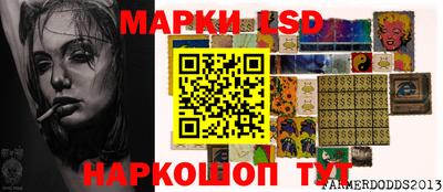 дмт Краснодар