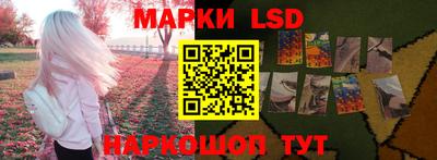 дмт Краснодар
