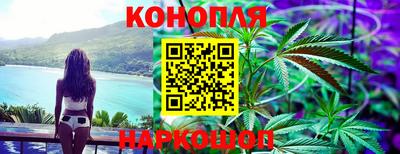 дмт Краснодар