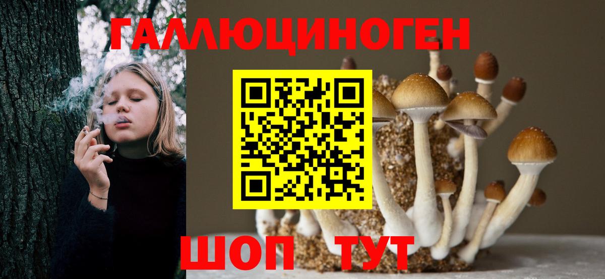 Фролово  Псилоцибиновые грибы Magic Shrooms  Вход с VPN  Псилоцибиновые грибы Cubensis 